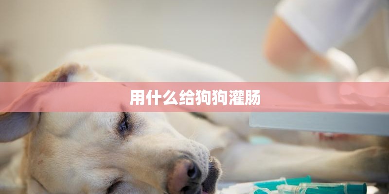 用什么给狗狗灌肠