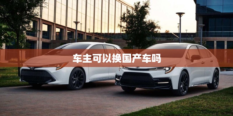车主可以换国产车吗