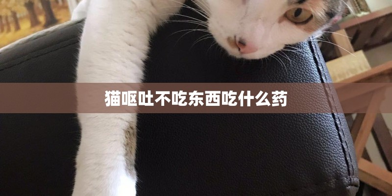 猫呕吐不吃东西吃什么药