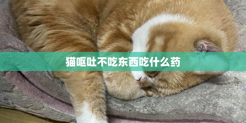 猫呕吐不吃东西吃什么药