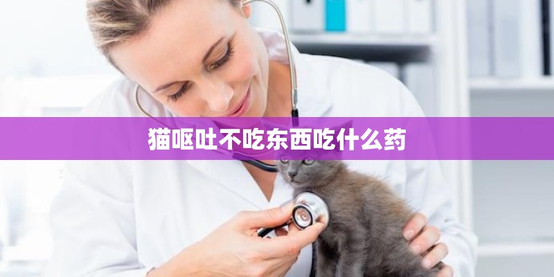 猫呕吐不吃东西吃什么药