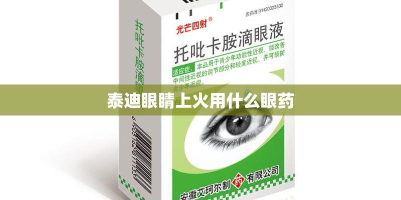 泰迪眼睛上火用什么眼药