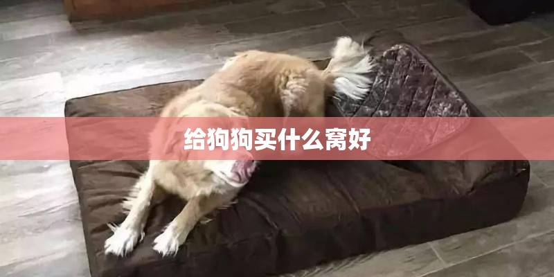 给狗狗买什么窝好