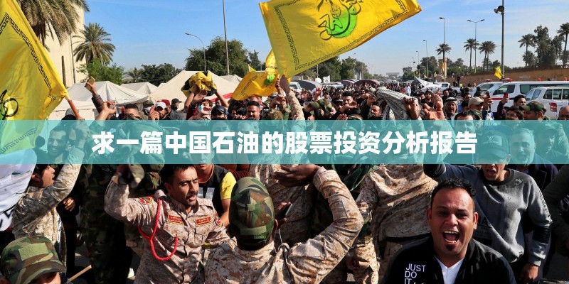 求一篇中国石油的股票投资分析报告