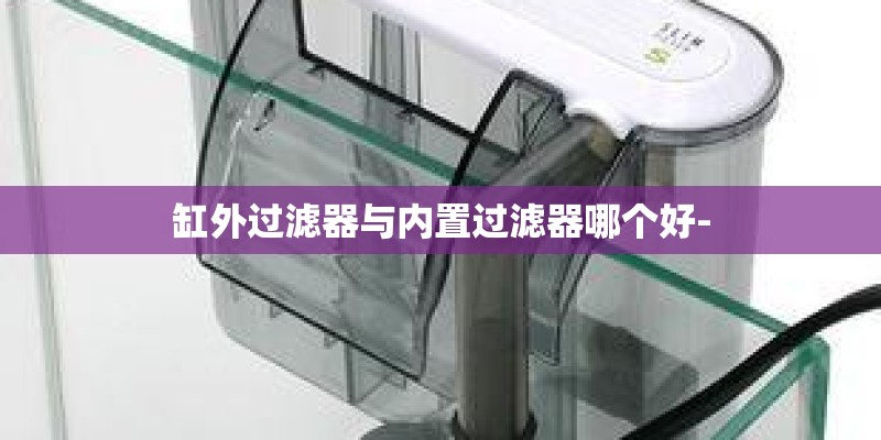 缸外过滤器与内置过滤器哪个好-