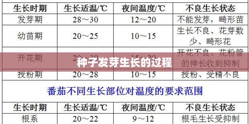 种子发芽生长的过程