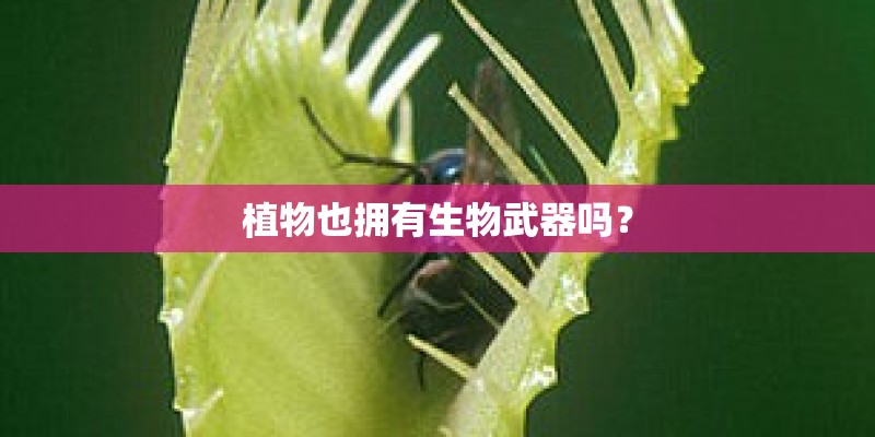 植物也拥有生物武器吗？