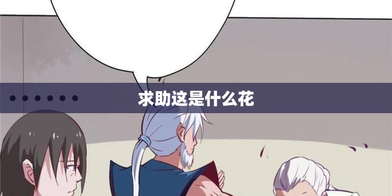 求助这是什么花