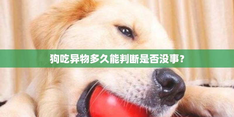 狗吃异物多久能判断是否没事？