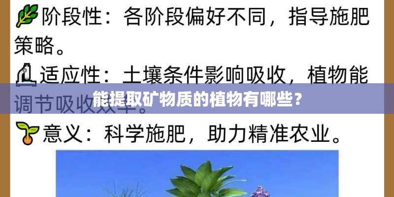 能提取矿物质的植物有哪些？