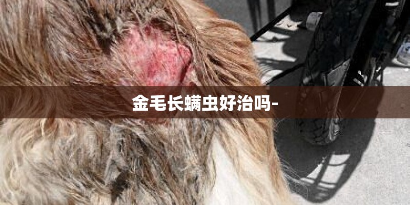 玫瑰茄的栽培方法和途径