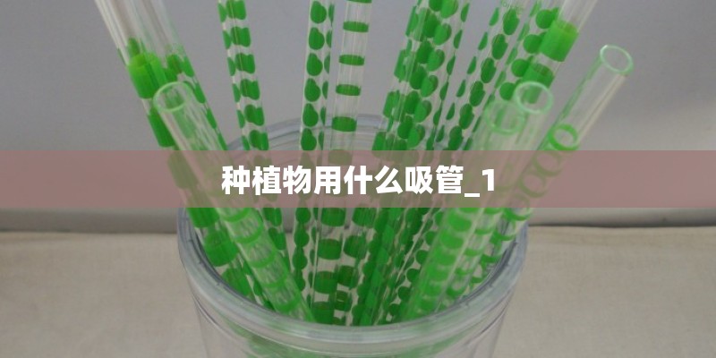 种植物用什么吸管_1