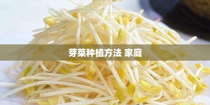 芽菜种植方法 家庭
