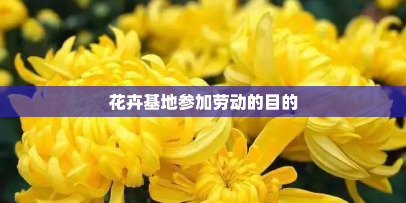 花卉基地参加劳动的目的
