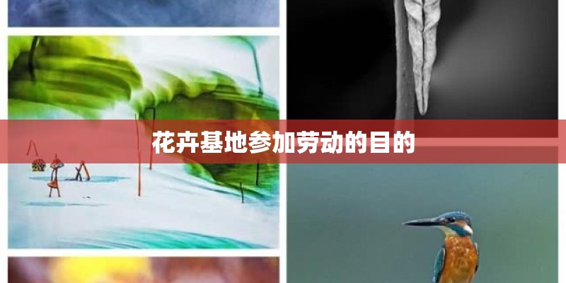 花卉基地参加劳动的目的