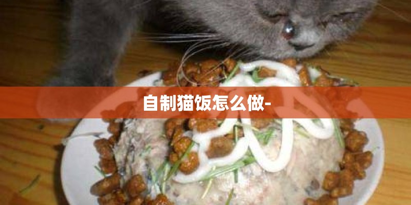 自制猫饭怎么做-