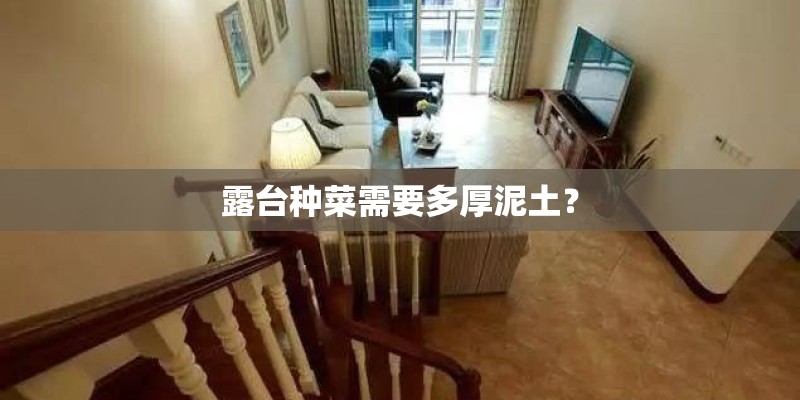 露台种菜需要多厚泥土？