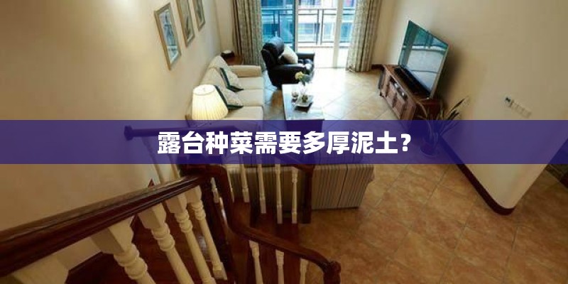 露台种菜需要多厚泥土？
