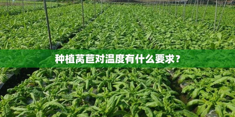 种植莴苣对温度有什么要求？
