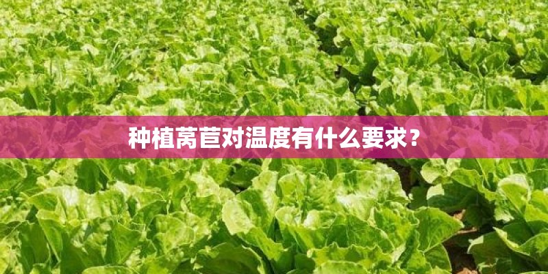 种植莴苣对温度有什么要求？