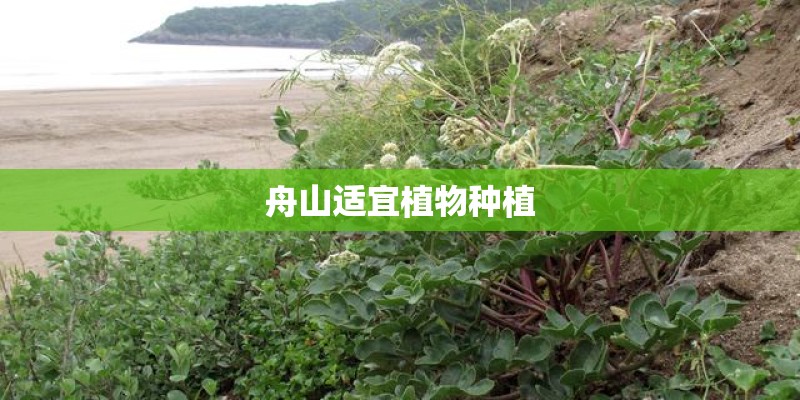 舟山适宜植物种植