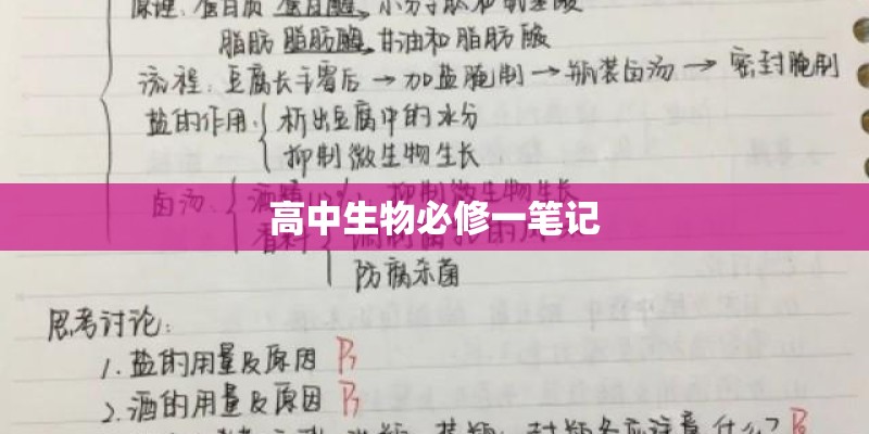 金皮西葫芦栽培技术有哪些？