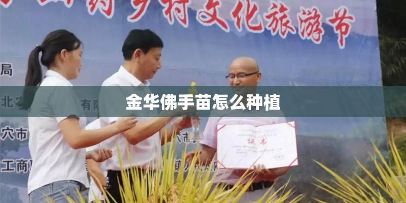 金华佛手苗怎么种植