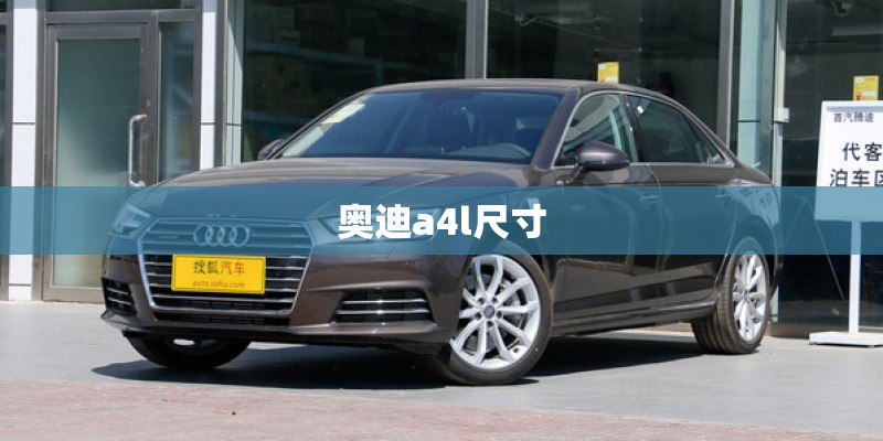 如何养好如意花
