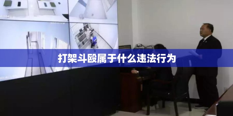打架斗殴属于什么违法行为