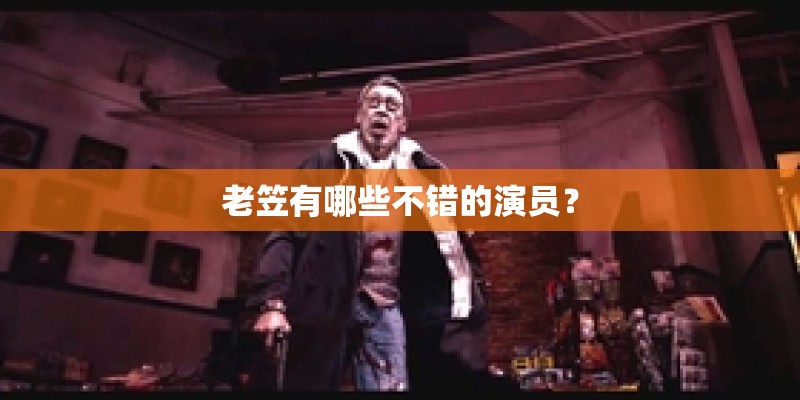 老笠有哪些不错的演员？