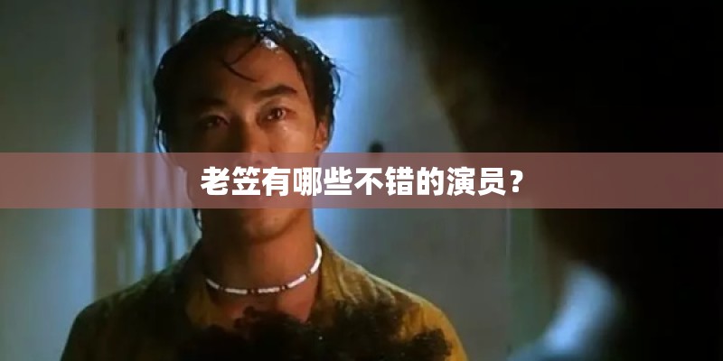 老笠有哪些不错的演员？
