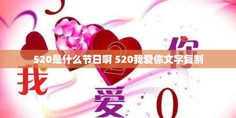 520是什么节日啊 520我爱你文字复制