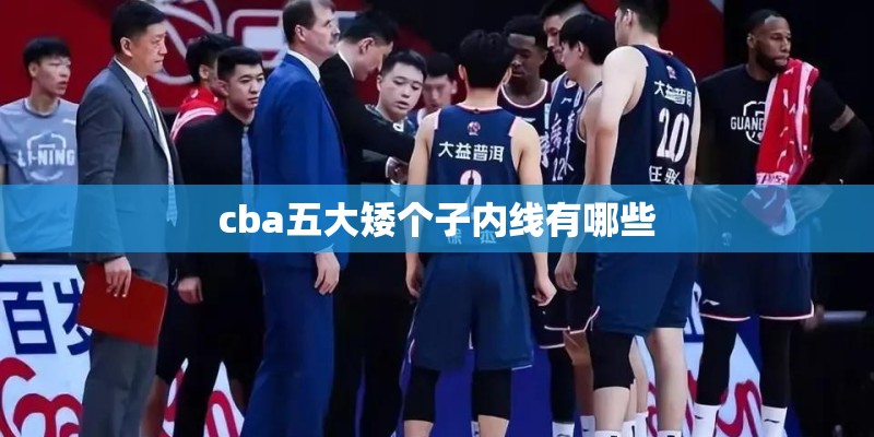 cba五大矮个子内线有哪些