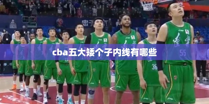 cba五大矮个子内线有哪些