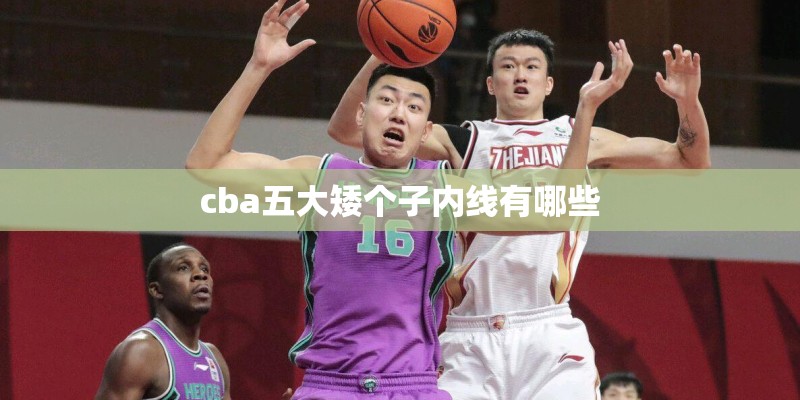 cba五大矮个子内线有哪些