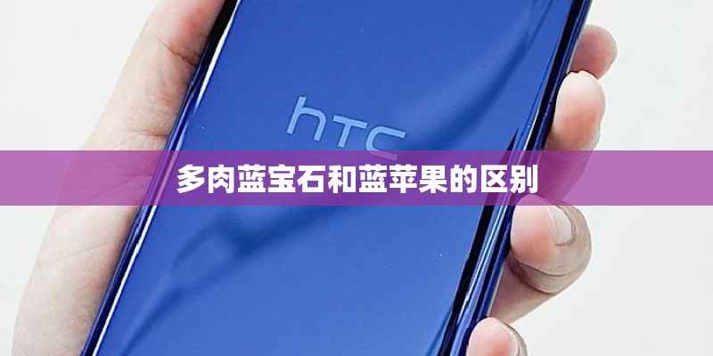 多肉蓝宝石和蓝苹果的区别