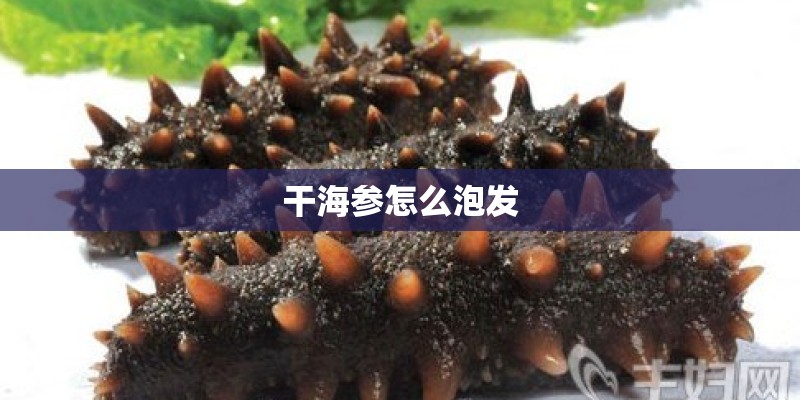 干海参怎么泡发