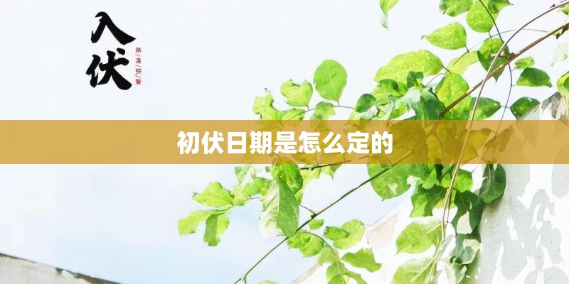 初伏日期是怎么定的