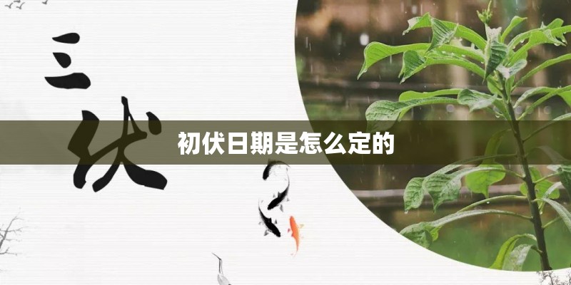初伏日期是怎么定的