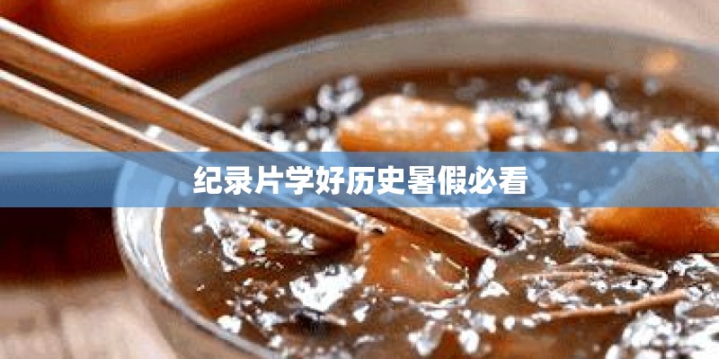 纪录片学好历史暑假必看