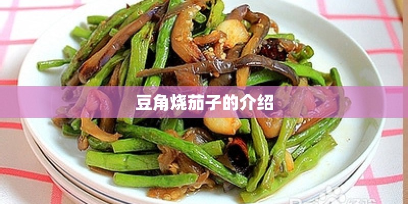 豆角烧茄子的介绍