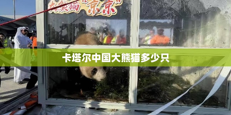 卡塔尔中国大熊猫多少只