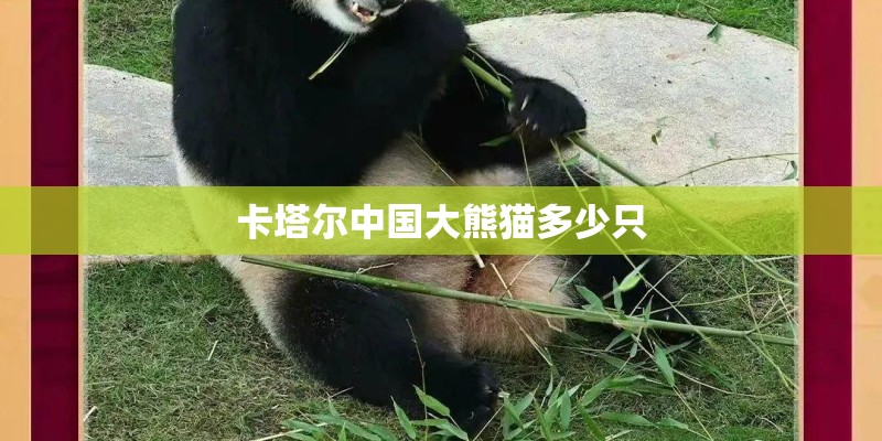 卡塔尔中国大熊猫多少只