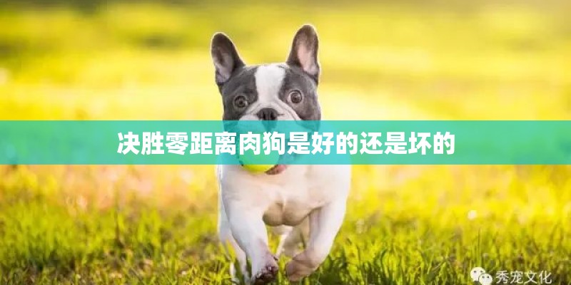 决胜零距离肉狗是好的还是坏的