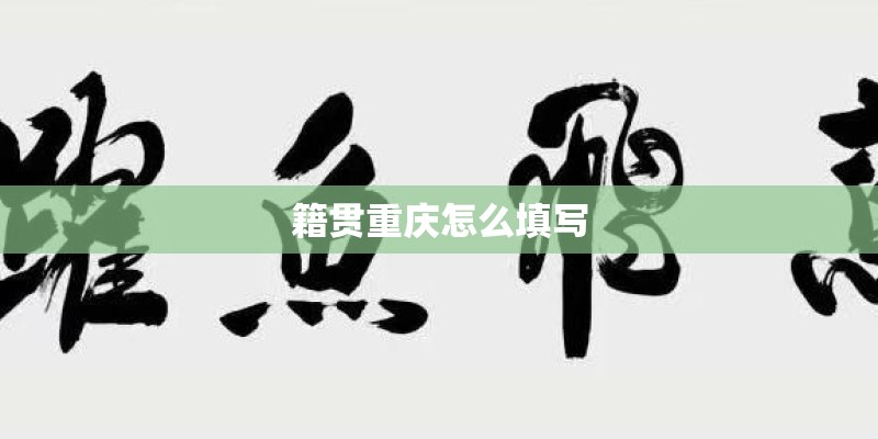 籍贯重庆怎么填写