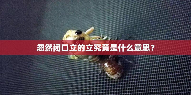 忽然闭口立的立究竟是什么意思？