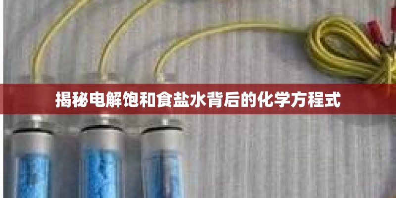 揭秘电解饱和食盐水背后的化学方程式