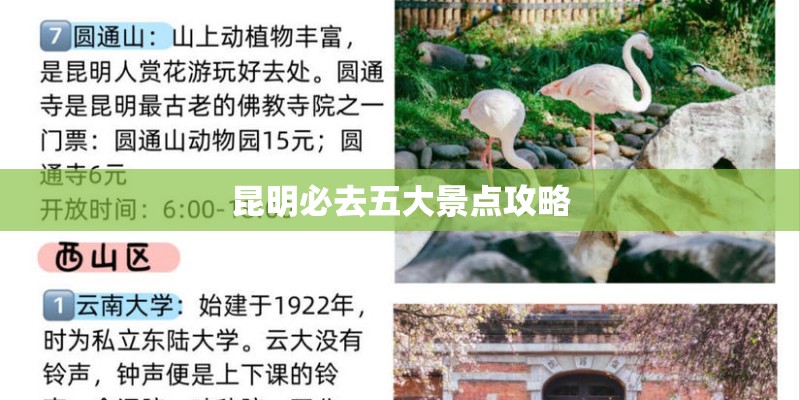 昆明必去五大景点攻略