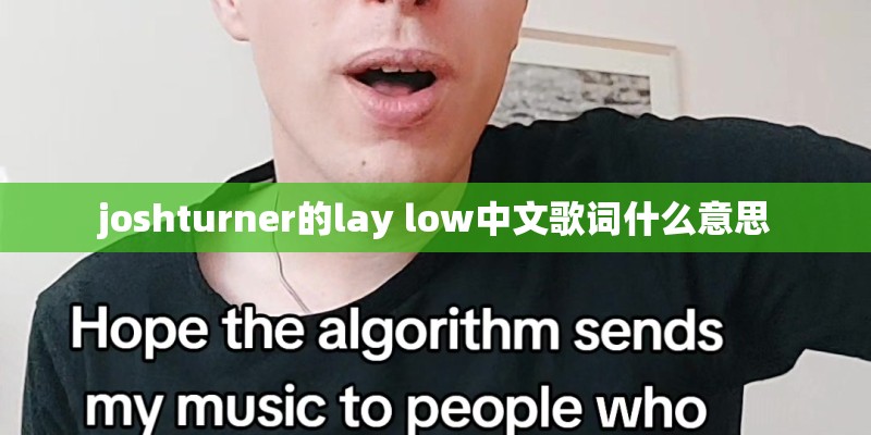 joshturner的lay low中文歌词什么意思