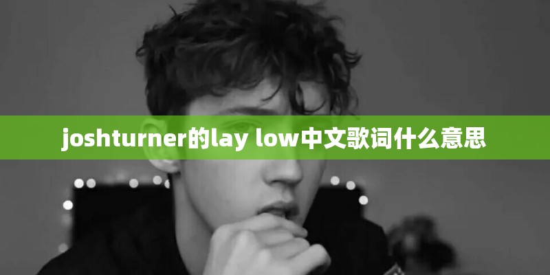 joshturner的lay low中文歌词什么意思